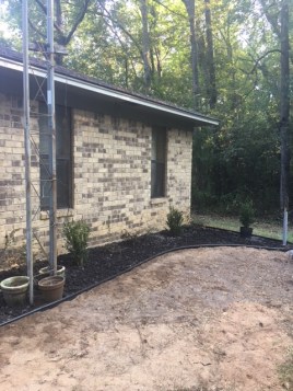 first copy of shrubs